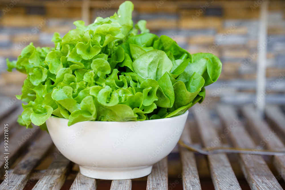 Lettuce is a plant that is commonly consumed fresh, eaten with salads ...