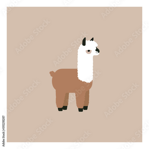 Llama cartoon alpaca. Lama animal vector isolated illustration. Cute funny . Design for card, sticker , fabric textile, t shirt. Children, kid modern trendy style