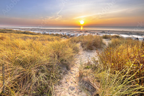 Walking trail in coastal dune landscape