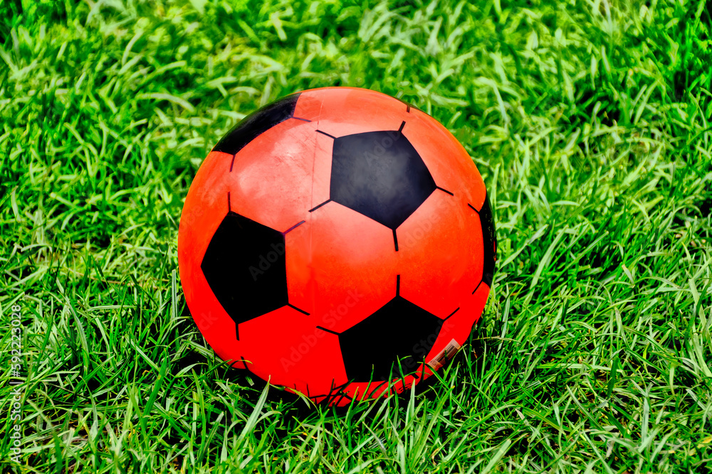 Fototapeta premium red rubber ball in lush green grass. black pentagon shape pattern. closeup view. play, sport, leisure and outdoors concept. bright green lawn. playful composition. blurred background. selective focus.