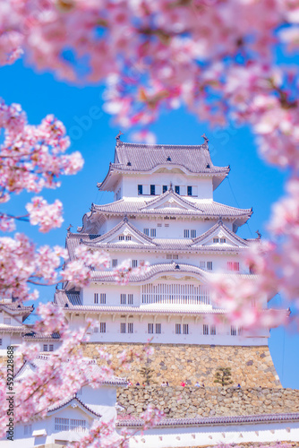 桜に包まれた姫路城