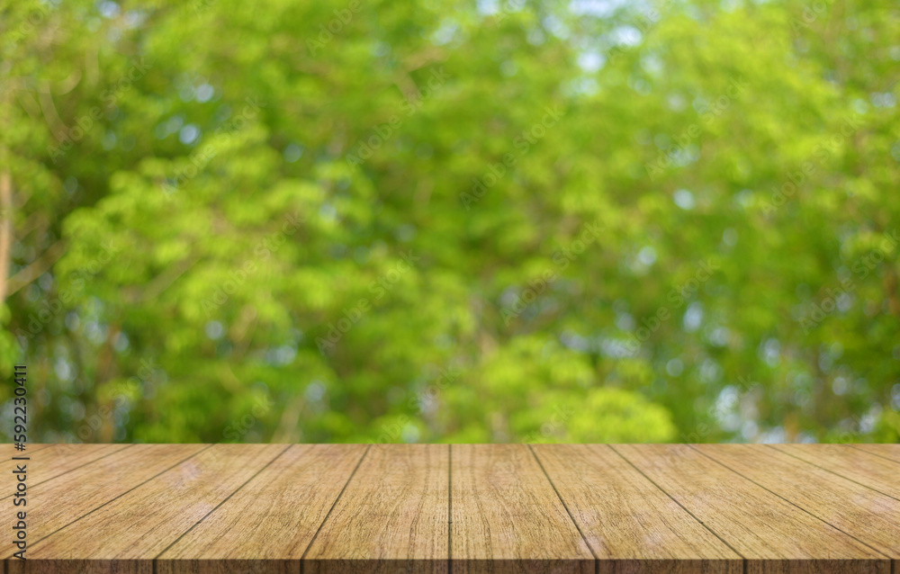 Empty wooden table top with blur green garden background