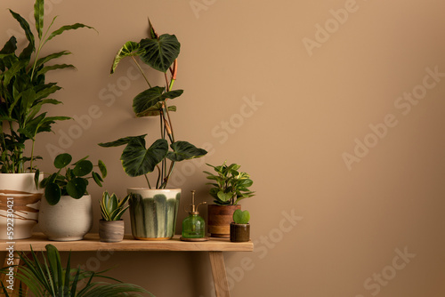 Foto Aesthetic composition of living room interior with copy space, wooden bench, plants in flowerpots, brown wall, flower sprinkler and personal accessories