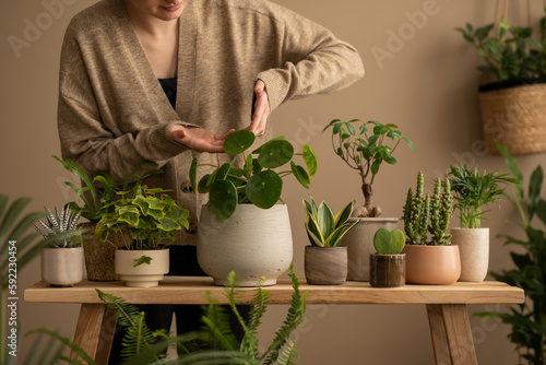 Botanic living room interior with woman watering flowers, plants in flowerpots, cacti, wooden bench, flowerpot on the wall and personal accessories. Home decor. Template. photo