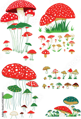 Mushroom Fungi Color Vector set 