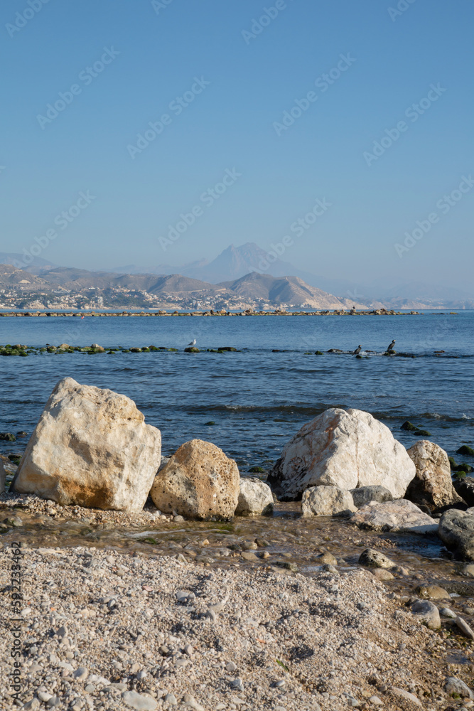 Rocks and Gannets on El Campello Beach, Alicante; Spain