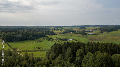 Fototapeta Naklejka Na Ścianę i Meble -  Drone photography of agriculture fields, farm and rural landscape during summer day.