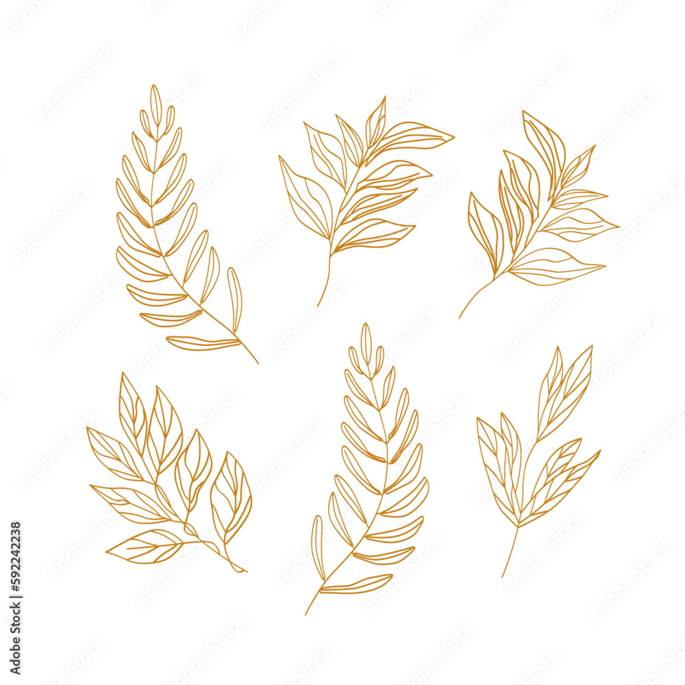 Flat design of linear leaves and flowers Flat design of linear leaves and flowers