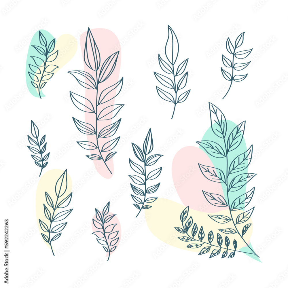 Flat design of linear leaves and flowers Flat design of linear leaves and flowers