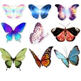 butterfly icon background white