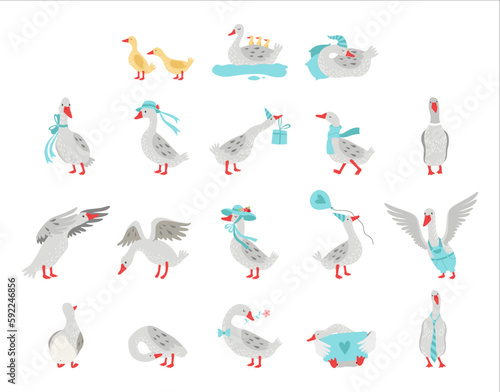 Goose Domestic Bird Wearing Blue Hat  Sleeping in Night Cap and Carrying Gift Box Vector Big Set