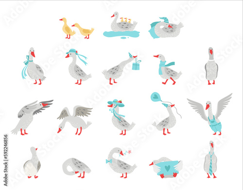 Goose Domestic Bird Wearing Blue Hat, Sleeping in Night Cap and Carrying Gift Box Vector Big Set