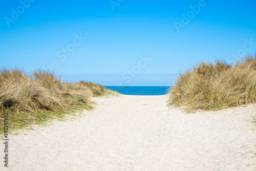 Fototapeta Naklejka Na Ścianę i Meble -  path in the sand dunes on North Sea	
