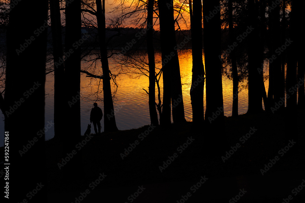 Man with a dog standing near the lake in the light of sunset surrounded by trees. Negative space photo