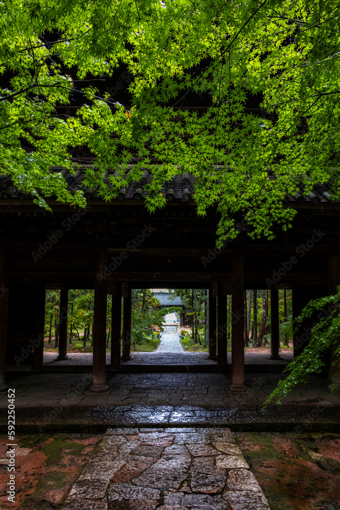 新緑の曹源寺｜縦構図