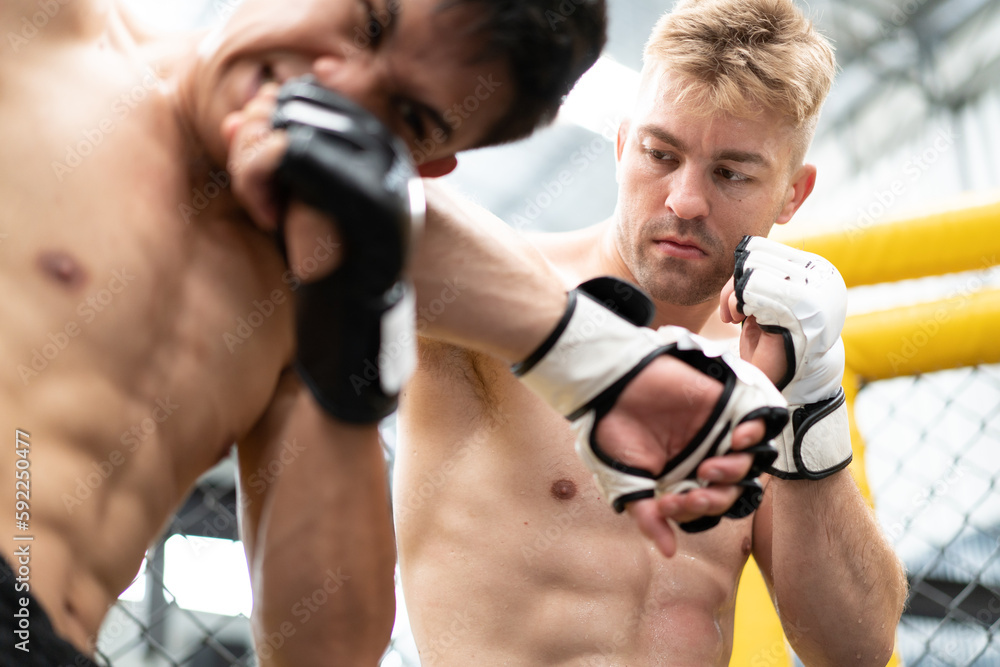 Naklejka premium Professional boxers with glove fighting in competition match. Young muscular athlete challenge strength punch in MMA arena. Two male fighter martial in ring. Boxing knockout champion battle concept