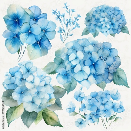 blue floral hydrangea clipart watercolor
