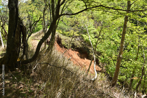 Climbing Mt. Takahara, Tochigi, Japan photo