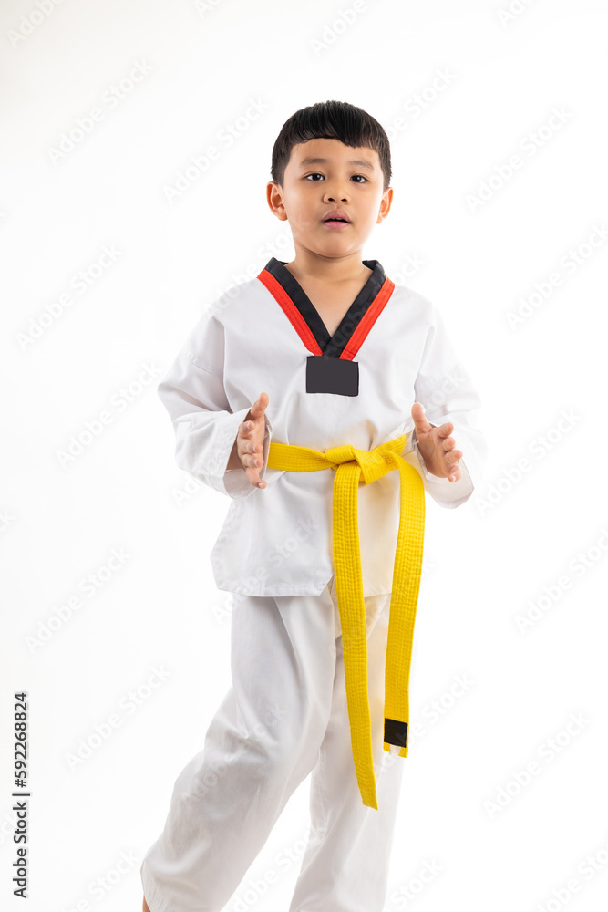 kids karate martial arts. Taekwondo uniform with yellow belt. Asian school boy isolated on white background banner kids karate martial arts. Taekwondo uniform with yellow belt. Asian school boy isolated on white background banner