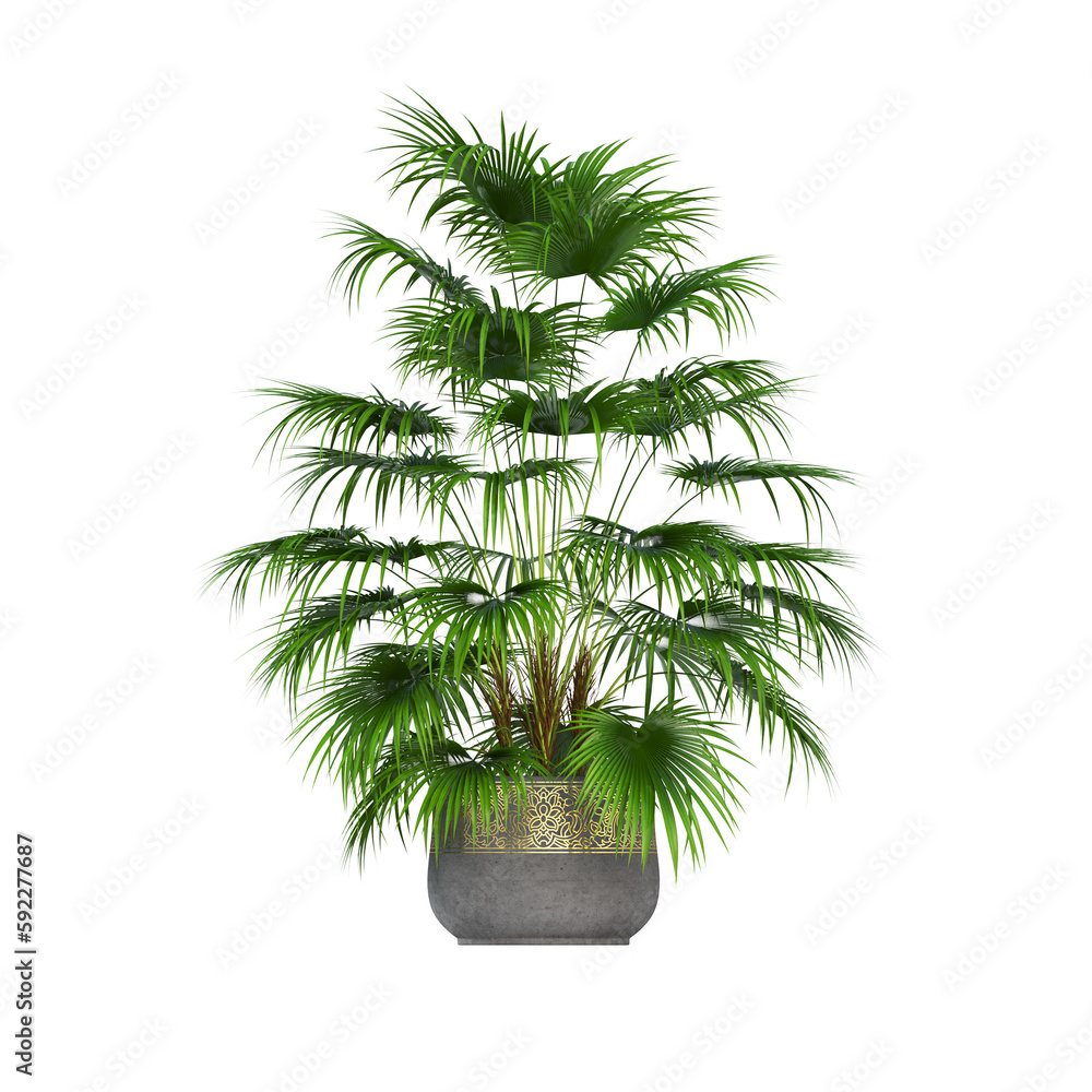 decorative flowers and plants for the interior, isolated on transparent background, 3D illustration, cg render
decorative flowers and plants for the interior, isolated on transparent background, 3D illustration, cg render