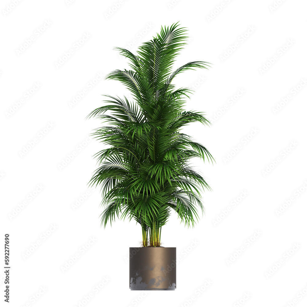 decorative flowers and plants for the interior, isolated on transparent background, 3D illustration, cg render
decorative flowers and plants for the interior, isolated on transparent background, 3D illustration, cg render