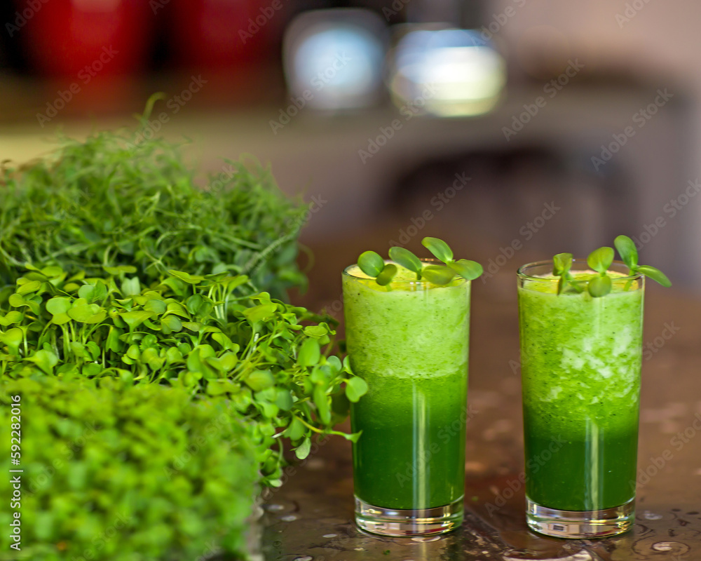 Two glasses of sprouted pea seed, sunflower flax seed and vegetable smoothie are freshly prepared and sit on the kitchen table next to live sprouts. Two glasses of sprouted pea seed, sunflower flax seed and vegetable smoothie are freshly prepared and sit on the kitchen table next to live sprouts.