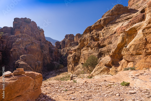 Petra w Jordanii. Pustynne formacje skalne na tle błękitnego, bezchmurnego nieba.