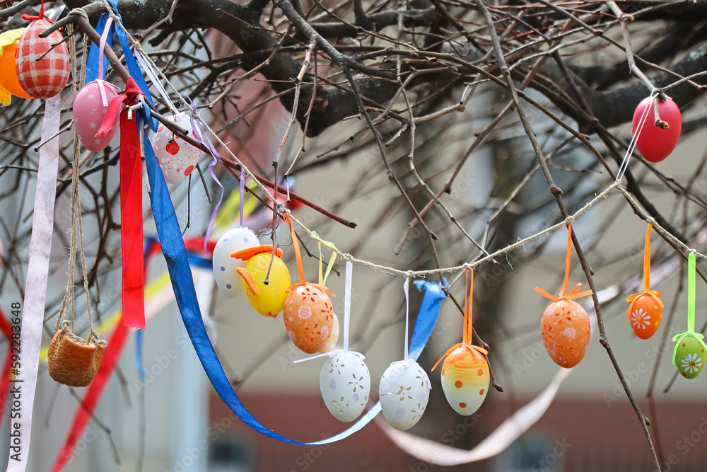 Easter eggs on the branches of a tree