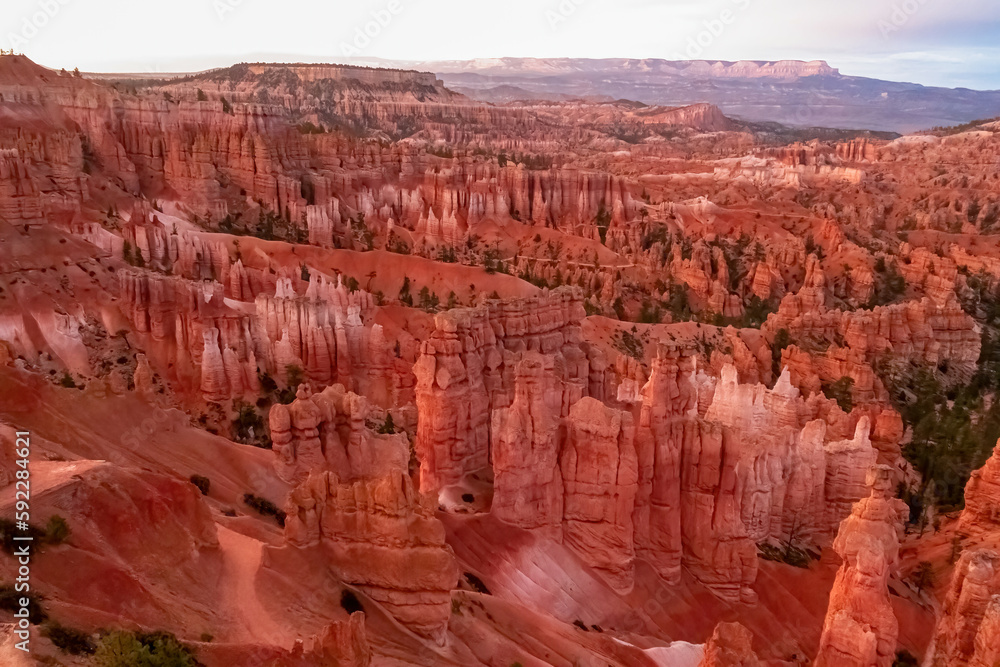 Panoramic morning sunrise view on sandstone rock formations on Navajo Rim hiking trail in Bryce Canyon National Park, Utah, UT, USA. Golden hour colored hoodoo rocks in unique natural amphitheatre