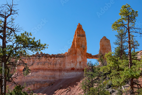 Scenic view of Hoodoo rock formation called Tower Bridge from Fairyland Trail in Bryce Canyon National Park, Utah, USA, United States of America. Natural Arch bridge in unique landscape. Pine trees