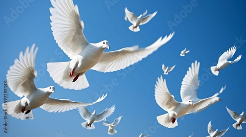 A flock of white doves in flight against a bright blue sky.