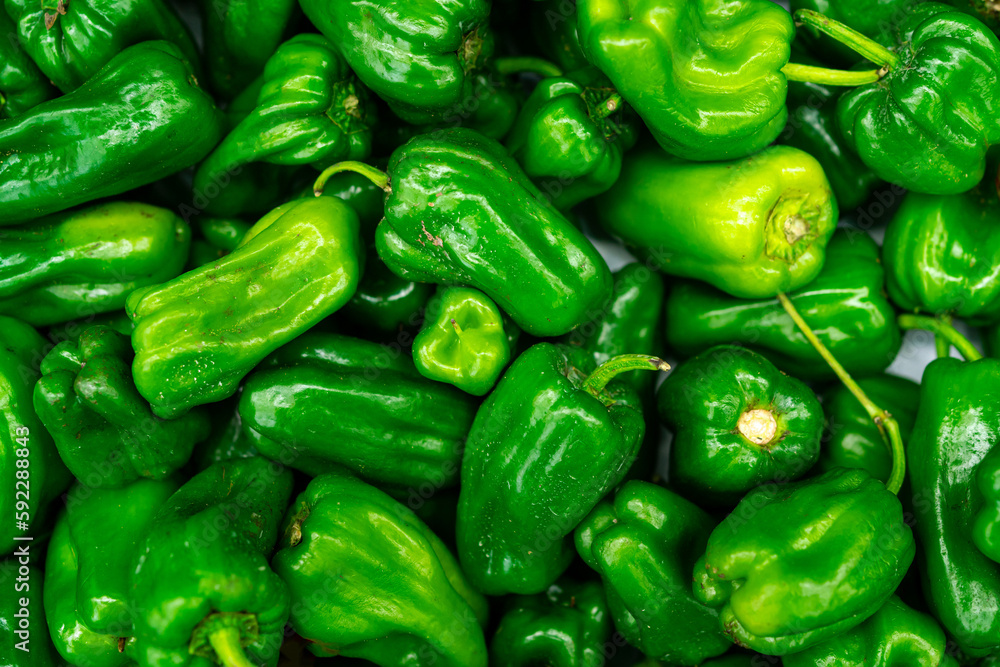 Lots of green pepper as a background. Vegetable background Lots of green pepper as a background. Vegetable background