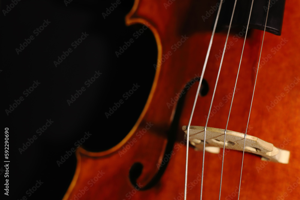 Cello strings on bridge of old artisan instrument close-up.