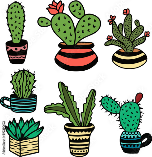 Cactus succulent bundle