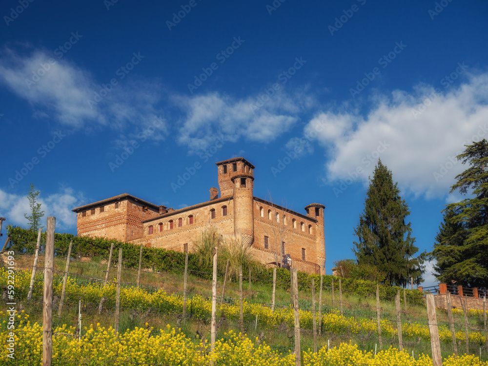 Castle in the countryside under a blue sky