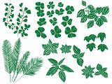 Leaf collection green Silhouette Set Bundle Isolated