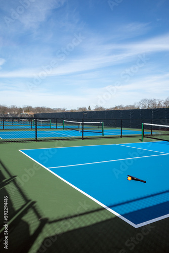 Pickleball Court with Paddle and Ball
