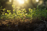 Closeup green plants grow in light of sparkling sun in a summer garden. Generative AI
