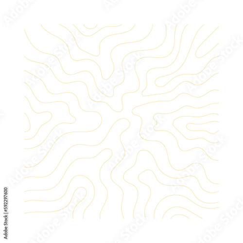 Topography Pattern Lines