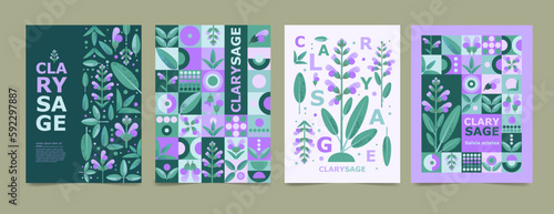 Set poster, brochure with Salvia drawing. Isolated flower and leaves. Cards geometry for print design vector banner