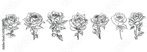 Different style Seven Roses Coloring Book showcases seven distinct roses.