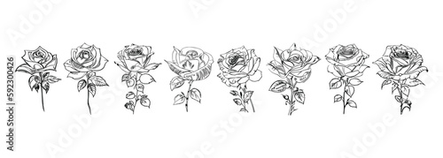 The Eight Roses Coloring Book showcases eight distinct roses, each with its unique design, portrayed through captivating illustrations.