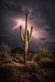 A Generative Sight: Lightning Strike in the Desert Behind a Saguaro Cactus at Night. Generative AI