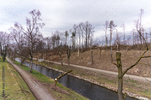 Renaturation of Glatt River with cut trees at City of Zürich district Schwamendingen on a cloudy winter day. Photo taken February 17th, 2023, Zurich, Switzerland.