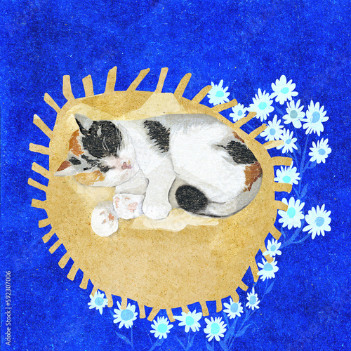 Ilustracja kot szylkretowy śpiący na kocu niebieskie tło białe kwiaty.