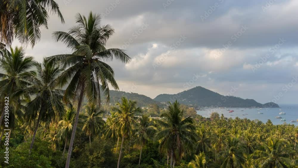 Tropical landscape of paradise Koh Tao island in the morning. Palms and moving clouds at dawn time lapse of Thai nature Tropical landscape of paradise Koh Tao island in the morning. Palms and moving clouds at dawn time lapse of Thai nature