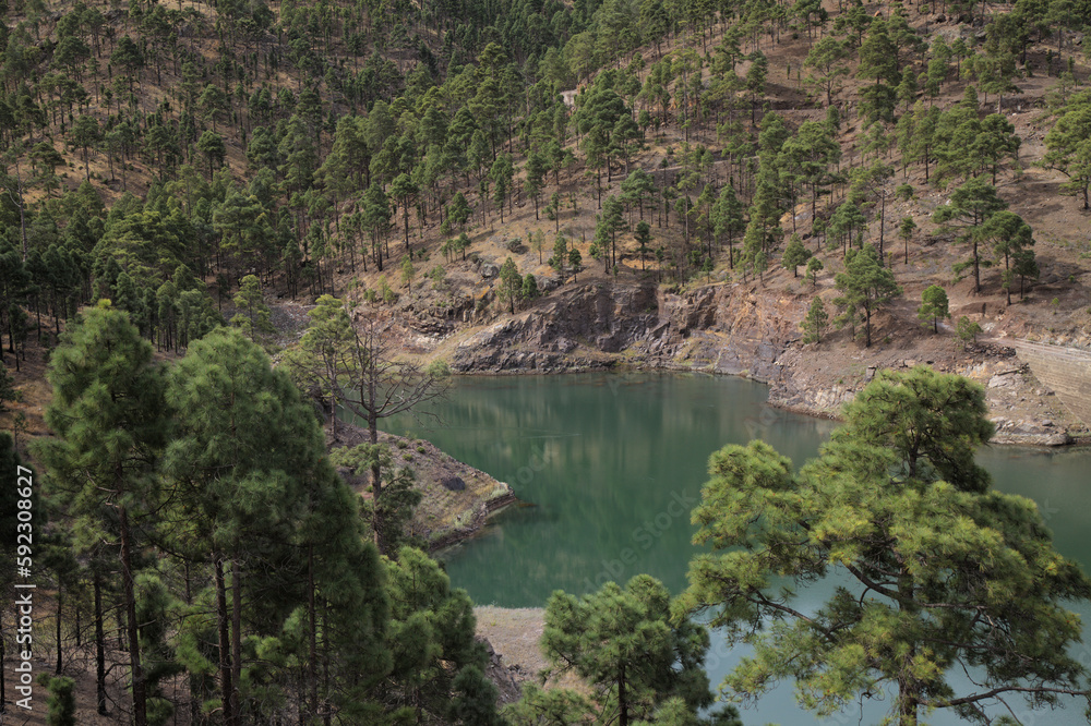 Gran Canaria, landscape of the mountainous part of the island in the Nature Park Tamadaba, freshwater reservoir Presa del Vaquero
Gran Canaria, landscape of the mountainous part of the island in the Nature Park Tamadaba, freshwater reservoir Presa del Vaquero