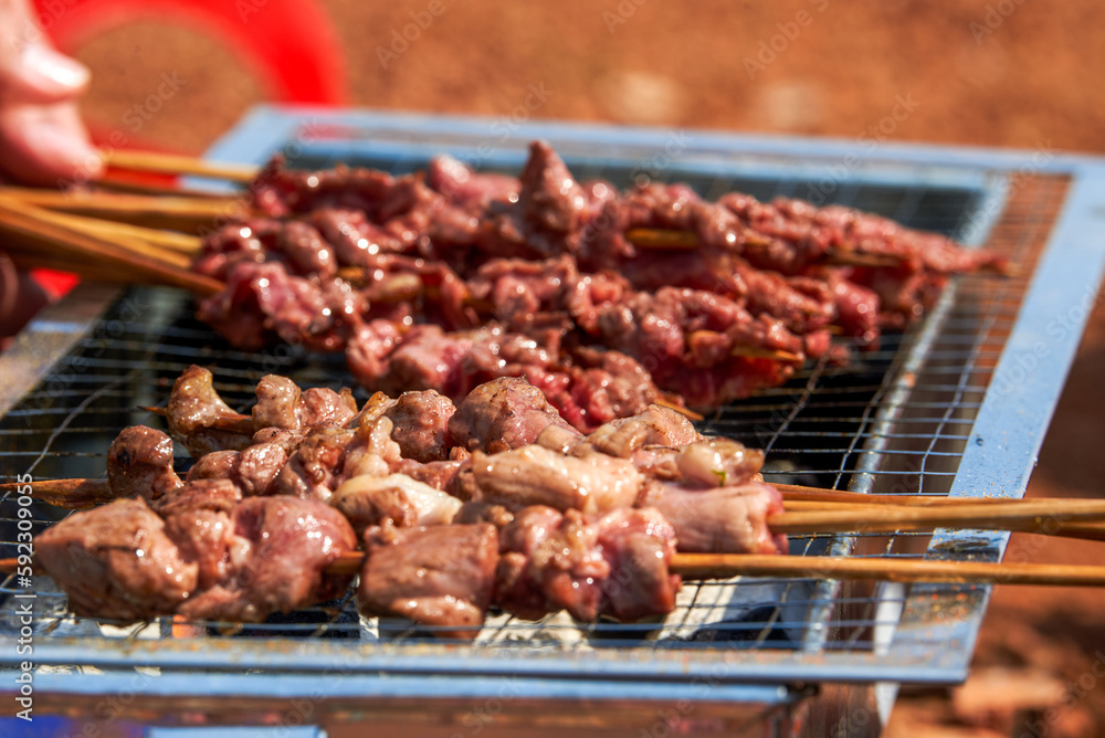 A person is grilling meat skewers in a picnic camping, delicious and tempting barbecue