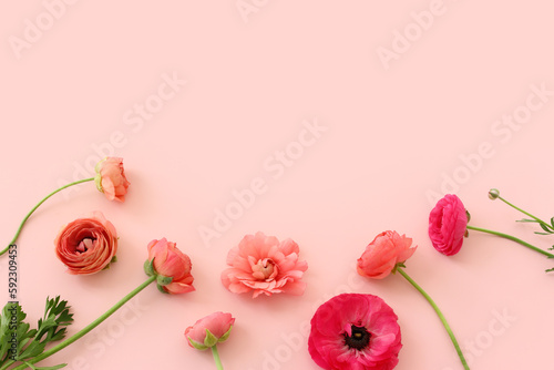 Top view image of pink flowers composition over pastel background