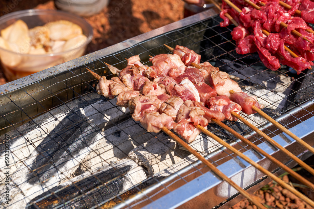 A person is grilling meat skewers in a picnic camping, delicious and tempting barbecue